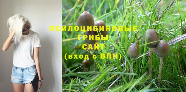 амф Лабытнанги