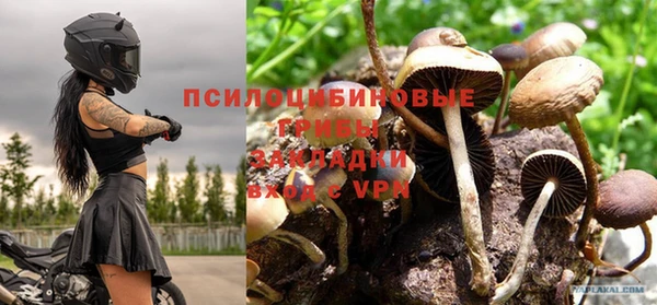 мет Ладушкин